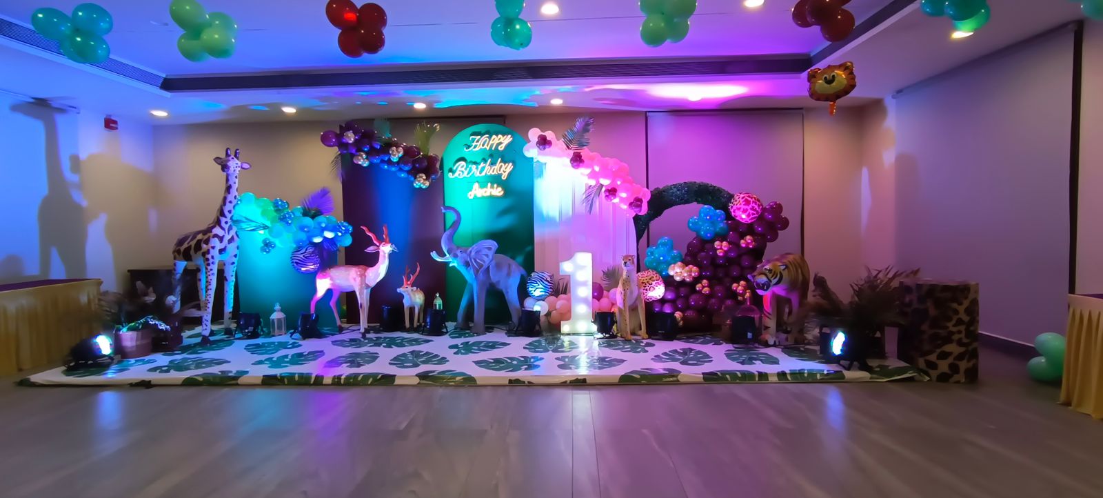 Birthday Party Decoration